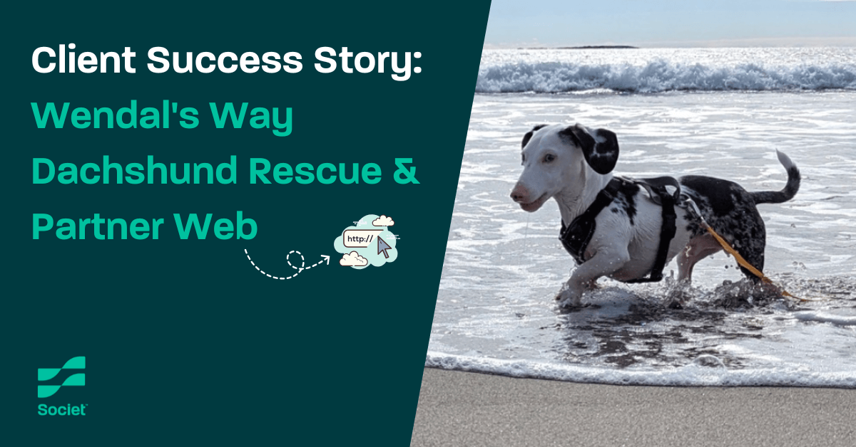 Partner Web Success Story