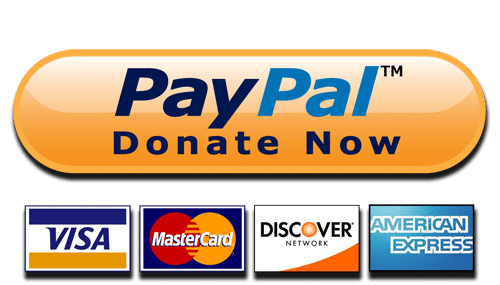 Paypal Donate Button High Quality - Annual Report for Nonprofits