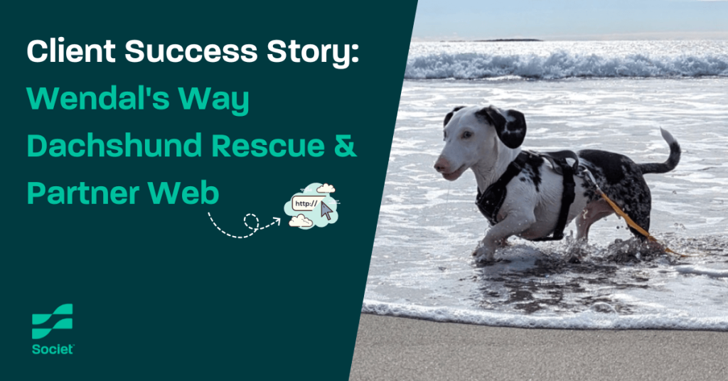 partner web success story